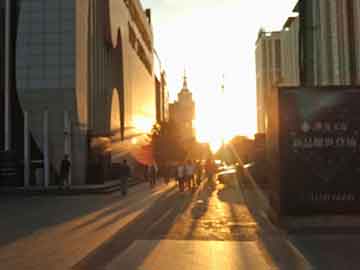 Clash订阅到期怎么办？小猫咪续费流量全攻略